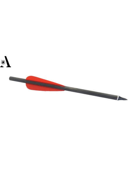 12 short arrows CARBON