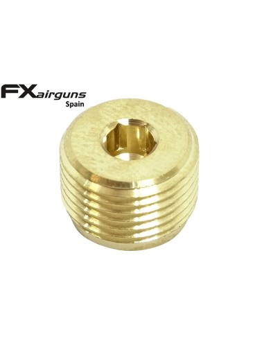 Brass plug