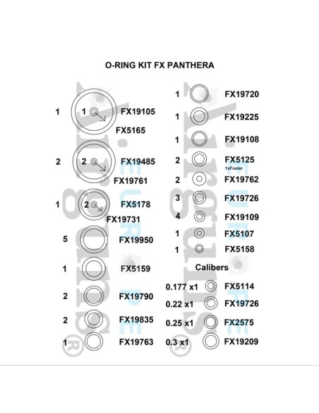 O-ring Kit Fx Panthera