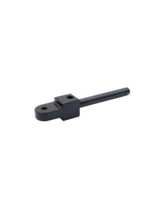Trigger mount