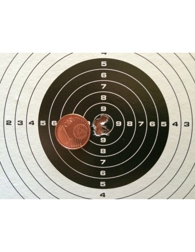 Shoting Target 100pcs