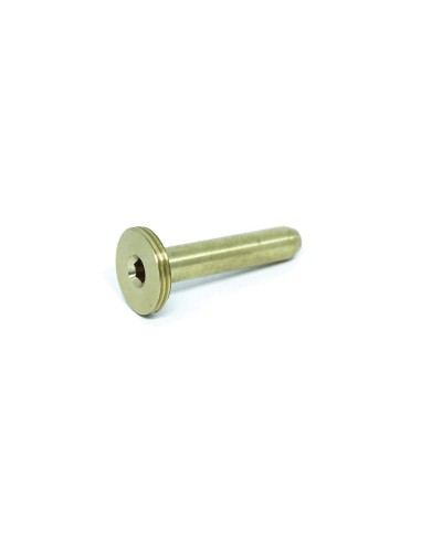 Hammerspring Guide/adjuster