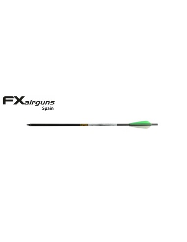 Arrow  Gold tip
