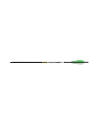 Arrow  Gold tip