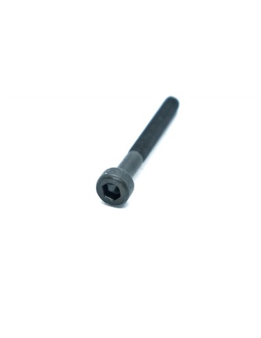Tornillo M3x22
